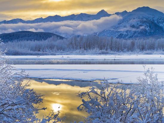 Premium Photographic Print, , large