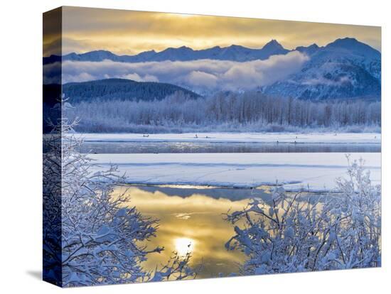 Stretched Canvas Print, , large