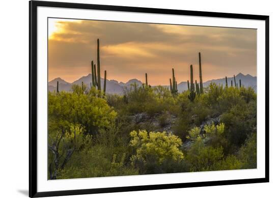 Framed Photographic Print, , large