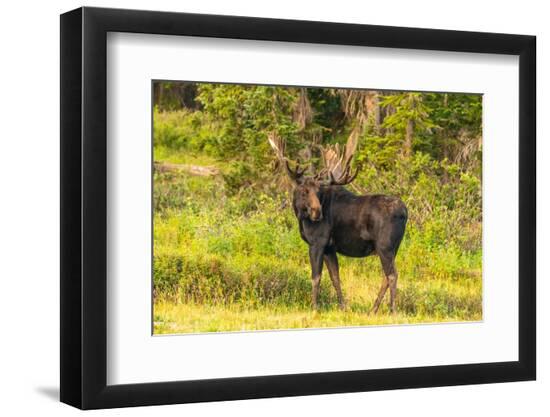 Premium Photographic Print, , large