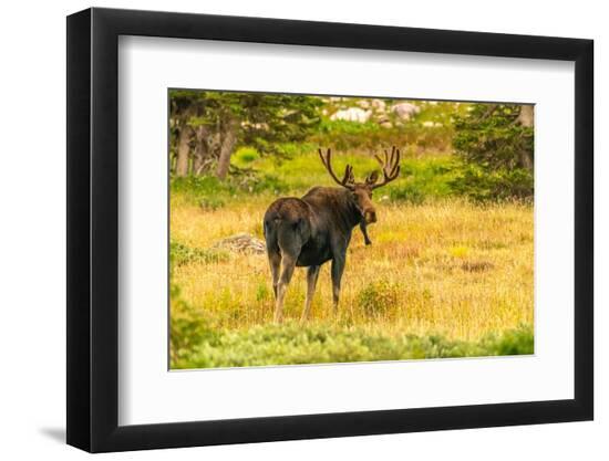 Premium Photographic Print, , large