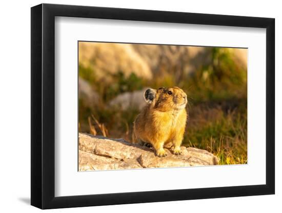 Photographic Print, , large