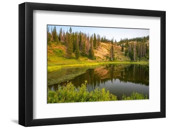 Premium Photographic Print, , large