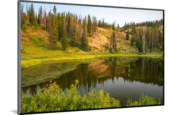 Photographic Print, , large