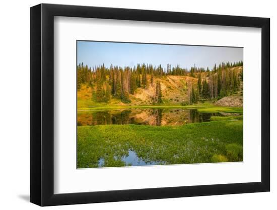 Photographic Print, , large