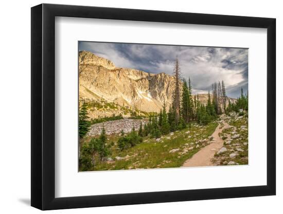 Premium Photographic Print, , large