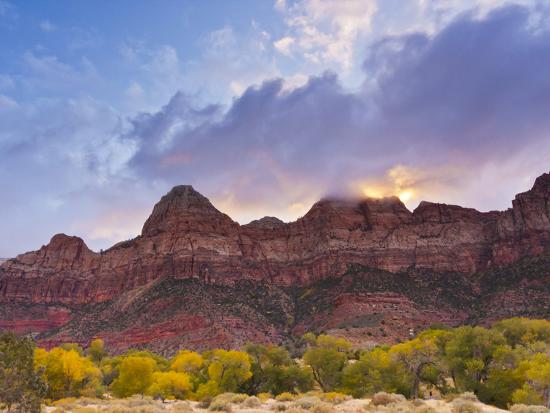 Premium Photographic Print, , large