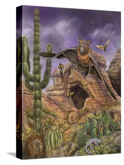 Stretched Canvas Print, , large