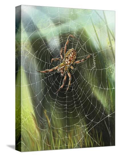 Stretched Canvas Print, , large