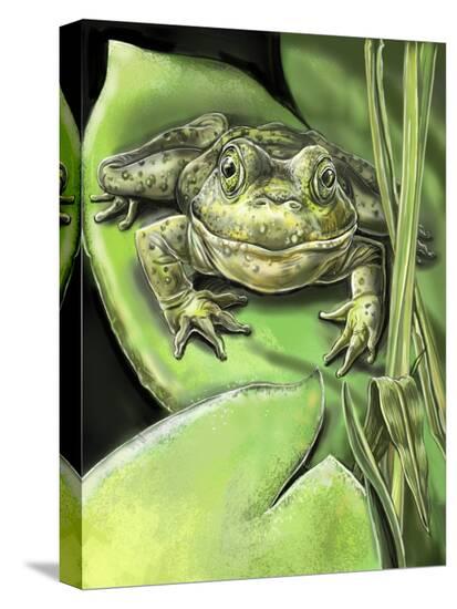 Stretched Canvas Print, , large