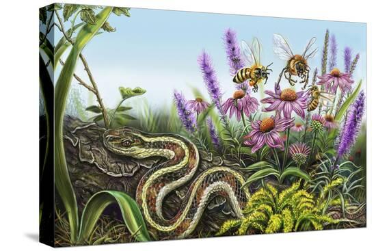 Stretched Canvas Print, , large