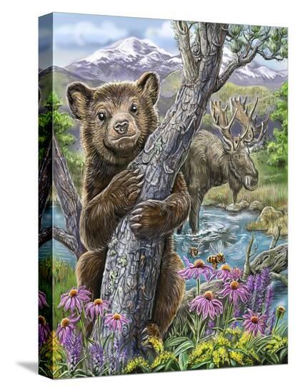 Stretched Canvas Print, , large