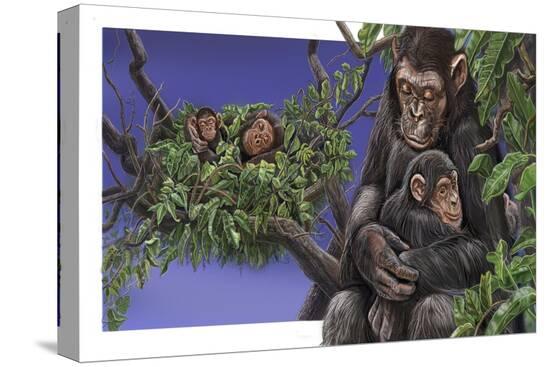 Stretched Canvas Print, , large