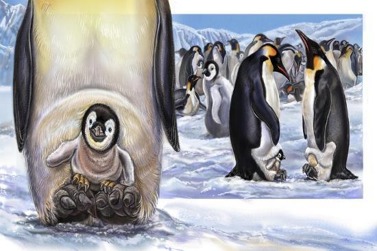 Giclee Print, , large