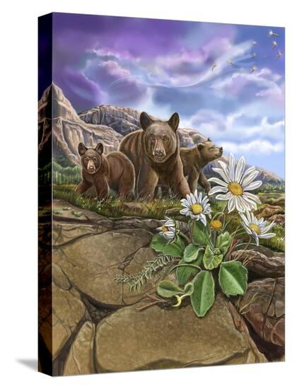 Stretched Canvas Print, , large
