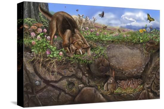 Stretched Canvas Print, , large
