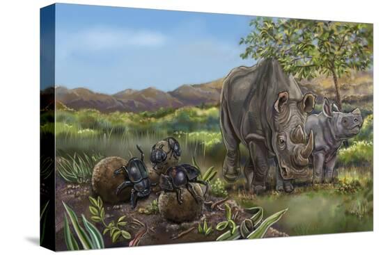 Stretched Canvas Print, , large