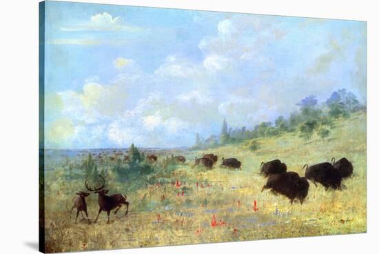 Catlin: Elk and Buffalo-George Catlin-Stretched Canvas