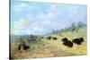Catlin: Elk and Buffalo-George Catlin-Stretched Canvas