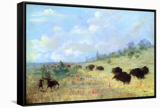 Catlin: Elk and Buffalo-George Catlin-Framed Stretched Canvas
