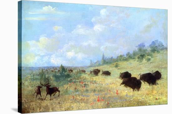 Catlin: Elk and Buffalo-George Catlin-Stretched Canvas