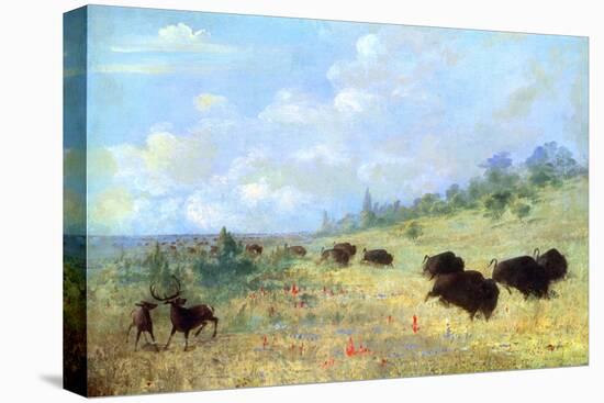 Catlin: Elk and Buffalo-George Catlin-Stretched Canvas