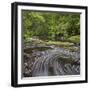 Catlins River, Southland, South Island, New Zealand-Rainer Mirau-Framed Photographic Print
