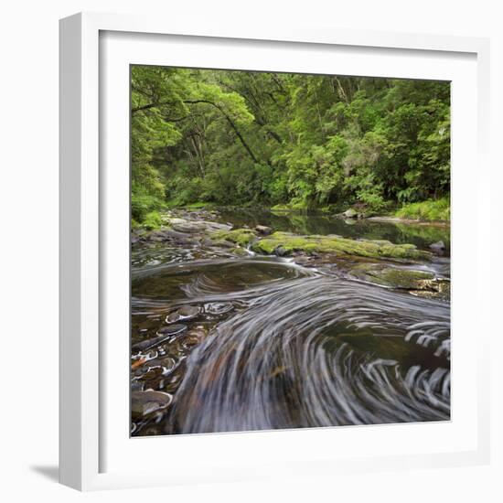 Catlins River, Southland, South Island, New Zealand-Rainer Mirau-Framed Photographic Print