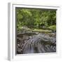 Catlins River, Southland, South Island, New Zealand-Rainer Mirau-Framed Photographic Print