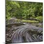 Catlins River, Southland, South Island, New Zealand-Rainer Mirau-Mounted Photographic Print