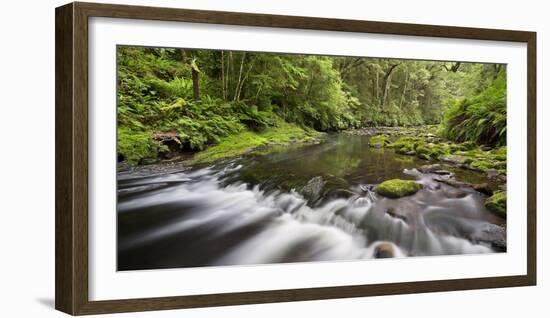 Catlins River, Southland, South Island, New Zealand-Rainer Mirau-Framed Photographic Print