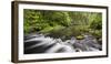 Catlins River, Southland, South Island, New Zealand-Rainer Mirau-Framed Photographic Print