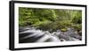 Catlins River, Southland, South Island, New Zealand-Rainer Mirau-Framed Photographic Print