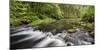 Catlins River, Southland, South Island, New Zealand-Rainer Mirau-Mounted Photographic Print