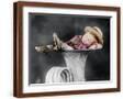 Brown Frame
