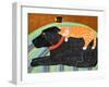Catnap-Striped Cat Black-Stephen Huneck-Framed Giclee Print