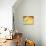 Catnap Yellow Dog Orange Cat-Stephen Huneck-Giclee Print displayed on a wall