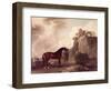 "Cato" and Groom-George Stubbs-Framed Giclee Print