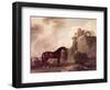 "Cato" and Groom-George Stubbs-Framed Giclee Print