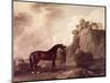 "Cato" and Groom-George Stubbs-Mounted Giclee Print