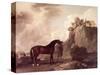 "Cato" and Groom-George Stubbs-Stretched Canvas