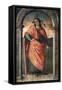 Cato-Pietro Perugino-Framed Stretched Canvas