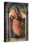 Cato-Pietro Perugino-Stretched Canvas