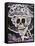Catrina Skeleton, San Miguel De Allende, Mexico-Merrill Images-Framed Stretched Canvas
