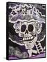 Catrina Skeleton, San Miguel De Allende, Mexico-Merrill Images-Framed Stretched Canvas