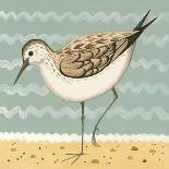 Curious Curlew-Catriona Hall-Giclee Print