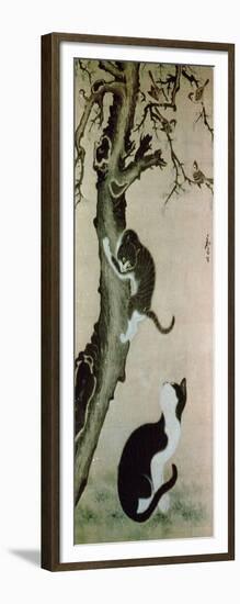 Cats, 17th century-Pyon Sang-Byok-Framed Giclee Print