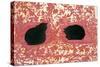 Cats, 1988-Lucy Willis-Stretched Canvas