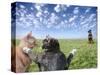 Cats and dogs-Bryan Allen-Stretched Canvas