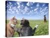 Cats and dogs-Bryan Allen-Stretched Canvas